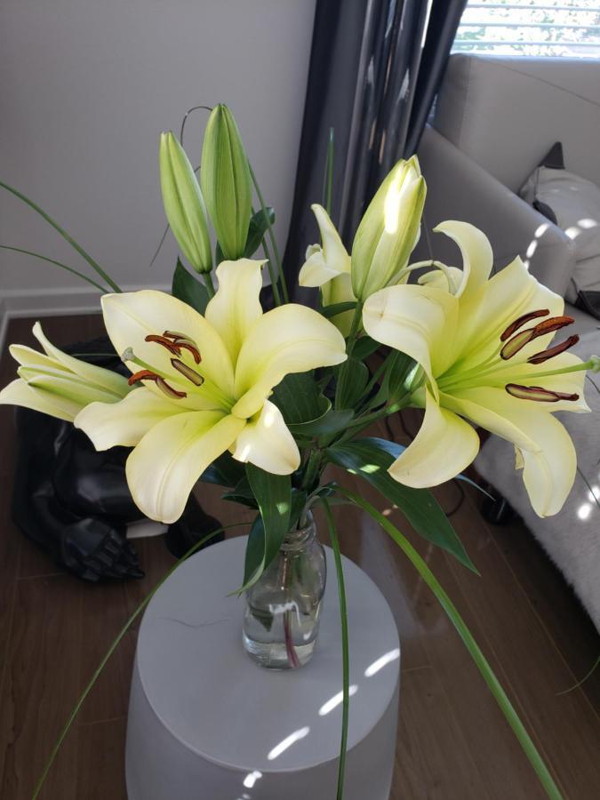 Apartament Penthouse Dreams Irvine Zewnętrze zdjęcie