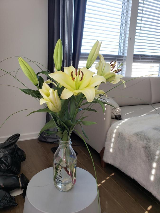Apartament Penthouse Dreams Irvine Zewnętrze zdjęcie